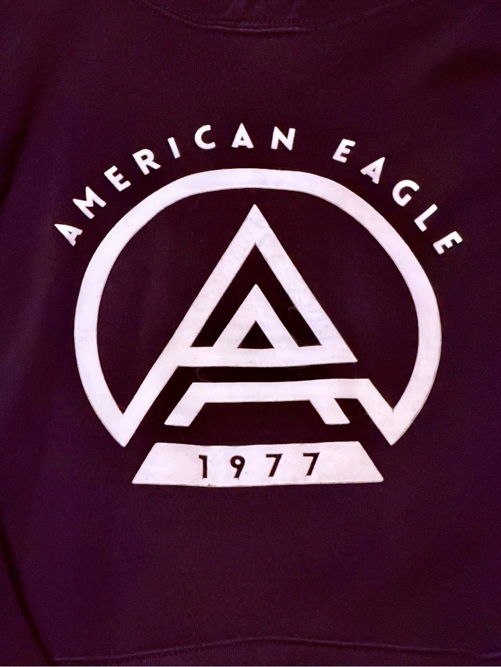 American Eagle Outfitters American Eagle 1977 Graphic Hoodie Black XXL - Picture 3 of 5
